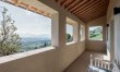 The Golden Vineyards 5