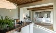 The Golden Vineyards 8