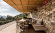 The Golden Vineyards 1