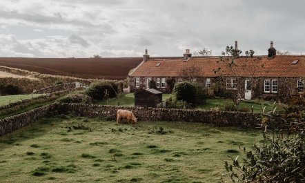 Scottish Seaview Sanctuary