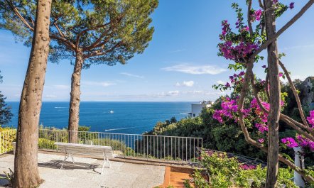 Amalfi Starlight 3
