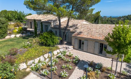 Provencal Dreams 1