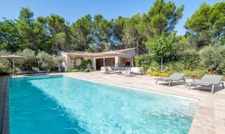 Provencal Dreams
