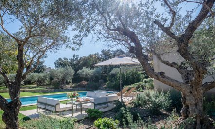 Proven&ccedil;al Serenity 6
