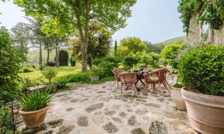 Provence Shadows 6