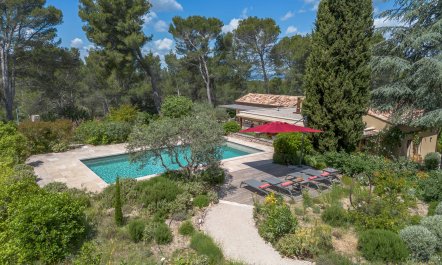 Alpilles Blossoms 2