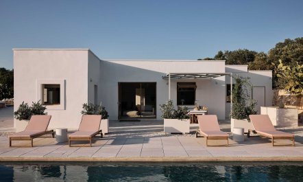 Olive Tree Terrace