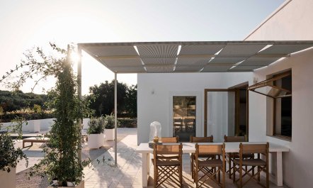 Olive Tree Terrace 4