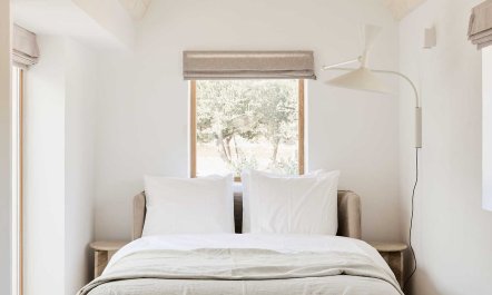 Olive Tree Terrace 8