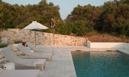 Olive Tree Terrace 2