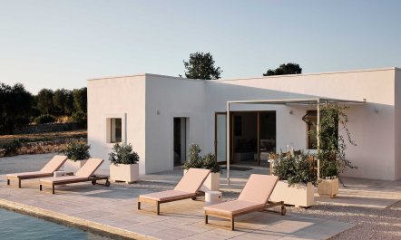 Olive Tree Terrace 3