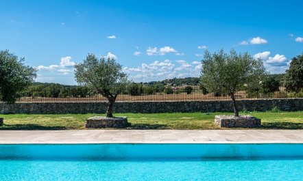 Vineyard Breeze 6