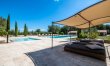 Vineyard Breeze 7