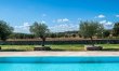 Vineyard Breeze 6