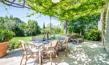 Proven&ccedil;al Vert 1