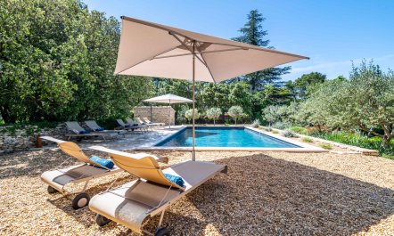 Proven&ccedil;al Vert 3