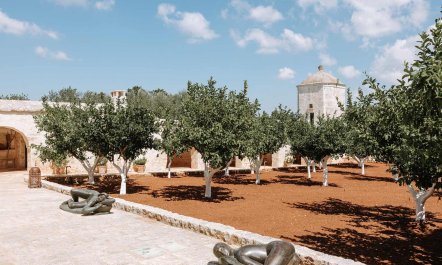 Sweet Orange Blossoms 5