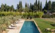 Graceful Vines 1
