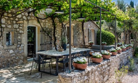 Olive Shade Haven 2