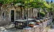 Olive Shade Haven 2