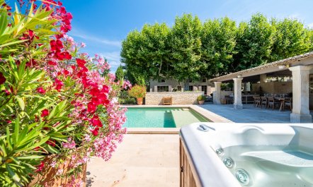 Lavender Estates 5