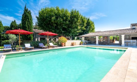 Lavender Estates 3
