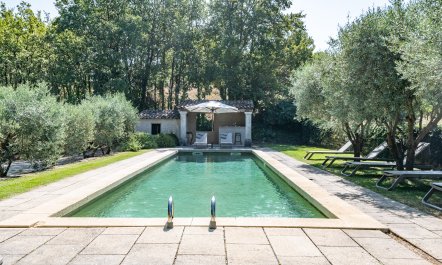 Bonnieux Blooms 2