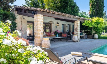 Sunny Stone Abode 3