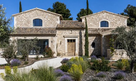 Olive Grove Serene