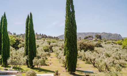 Lavender Villa 4
