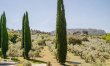 Lavender Villa 4