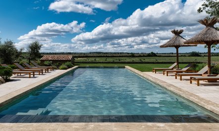 Ranch Proven&ccedil;al 3
