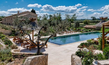 Ranch Proven&ccedil;al 2
