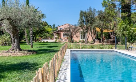 Olive Terrace 2
