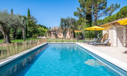 Olive Terrace 1