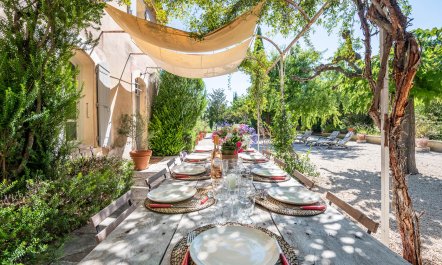 Olive Terrace 6