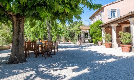 Olive Terrace 3