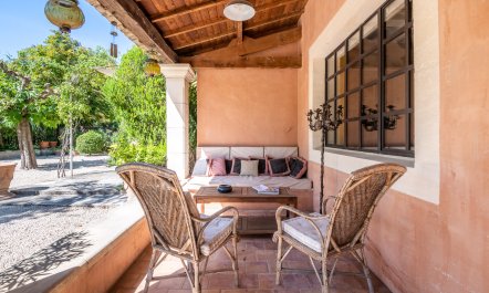 Olive Terrace 8
