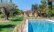 Olive Terrace 2