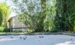 Olive Terrace 4