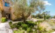 Proven&ccedil;al Vista 8