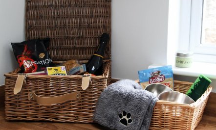 2 Bed in Mortehoe 4