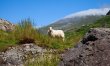 2 Bed in Nant Peris 8