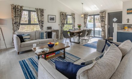 3 Bed in Broadwoodwidger 1