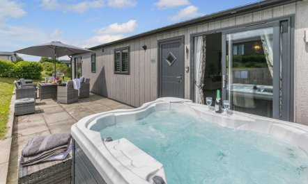 3 Bed in Broadwoodwidger