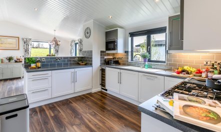 3 Bed in Broadwoodwidger 9