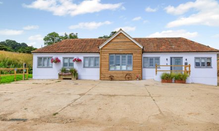 3 Bed in Buckland St. Mary 1