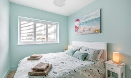 3 Bed in Buckland St. Mary 9