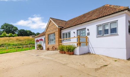 3 Bed in Buckland St. Mary 1