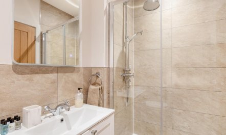 3 Bed in Buckland St. Mary 4